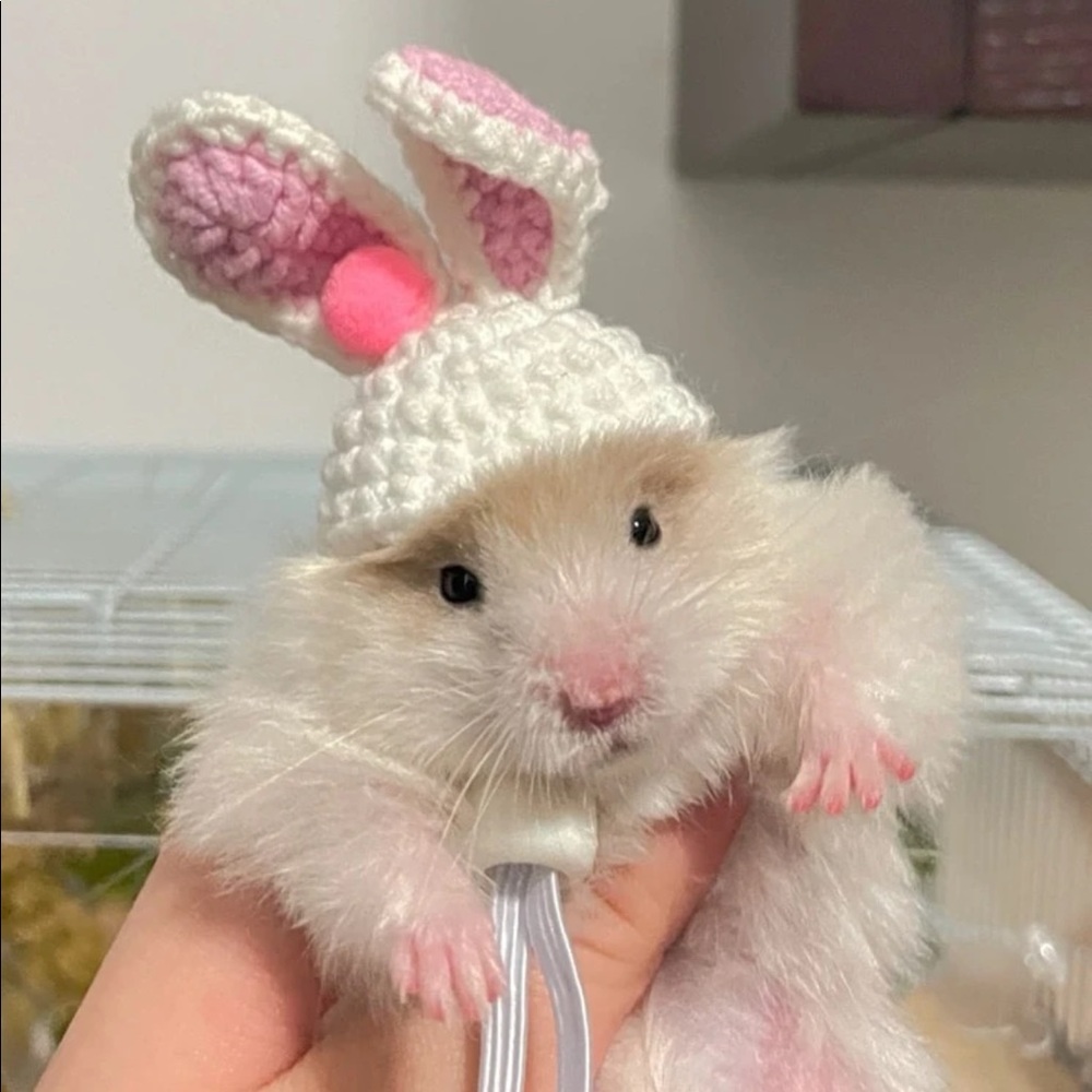 Bunny Design Pet Headwear 🐁